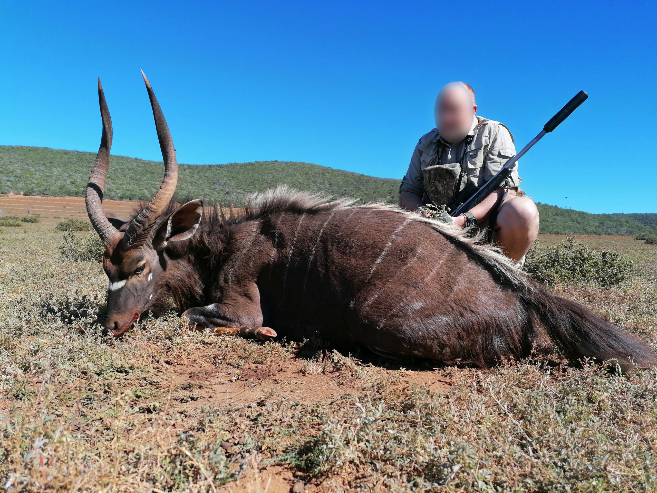 nyala5